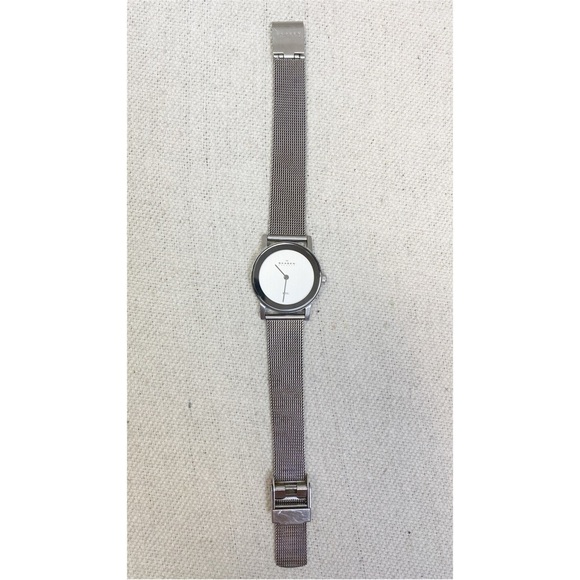 SKAGEN Watch ladies stainless steel mesh band main image 2